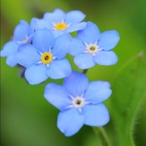 Meet your Posher, Veronica